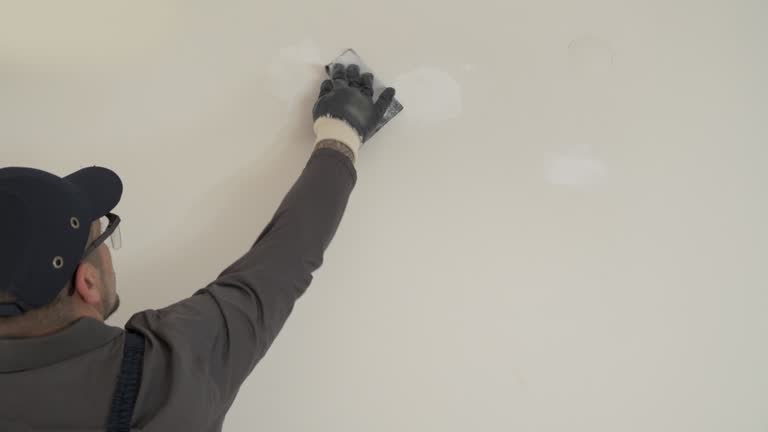 Best Drywall Removal and Disposal  in Stockbridge, MI